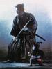 The Shogun Assassin's Avatar