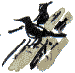 Blackbirds's Avatar