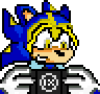 ninjahedgehog's Avatar