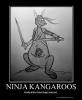 NinjaKangaroo's Avatar