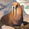 walrus tusks's Avatar