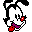 Yakko