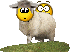 sheep_shagger